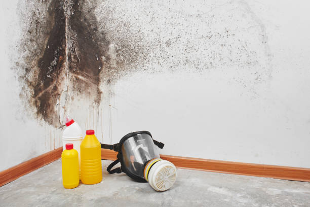 Mold Testing and Removal in Footville, WI