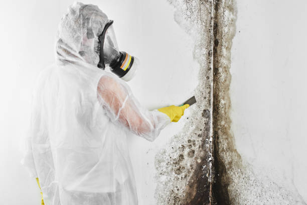 Best Mold Cleaning Services  in Footville, WI