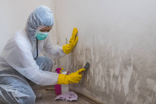 Best Emergency Mold Removal  in Footville, WI