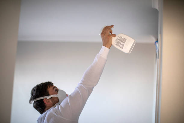 Best Mold Remediation Services  in Footville, WI