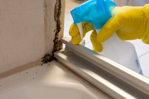 Best Attic Mold Removal  in Footville, WI