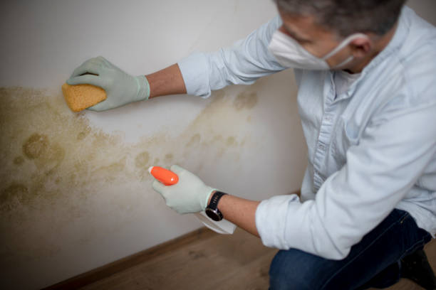 Best Crawl Space Mold Removal  in Footville, WI