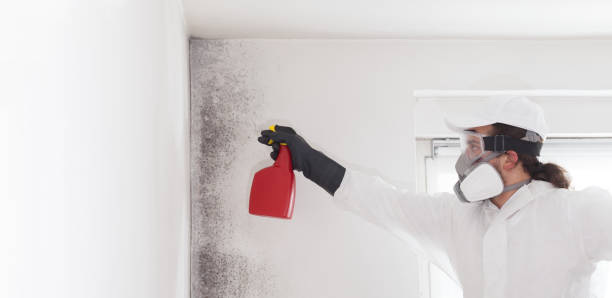 Best Commercial Mold Removal  in Footville, WI