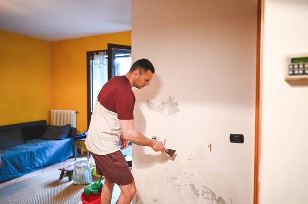 Best Toxic Mold Removal  in Footville, WI