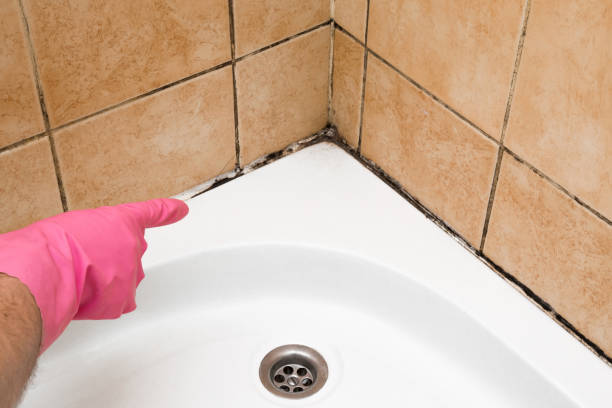 Best Home Mold Removal  in Footville, WI